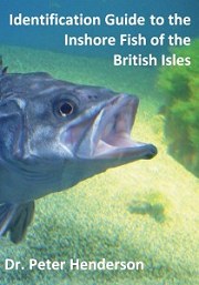 British Sea Fish